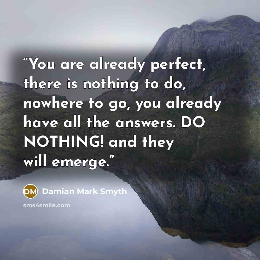 “You are already perfect, there is nothing to do, nowhere to go, you already have all the answers. DO NOTHING! and they will emerge.” quote by Damian Mark Smyth