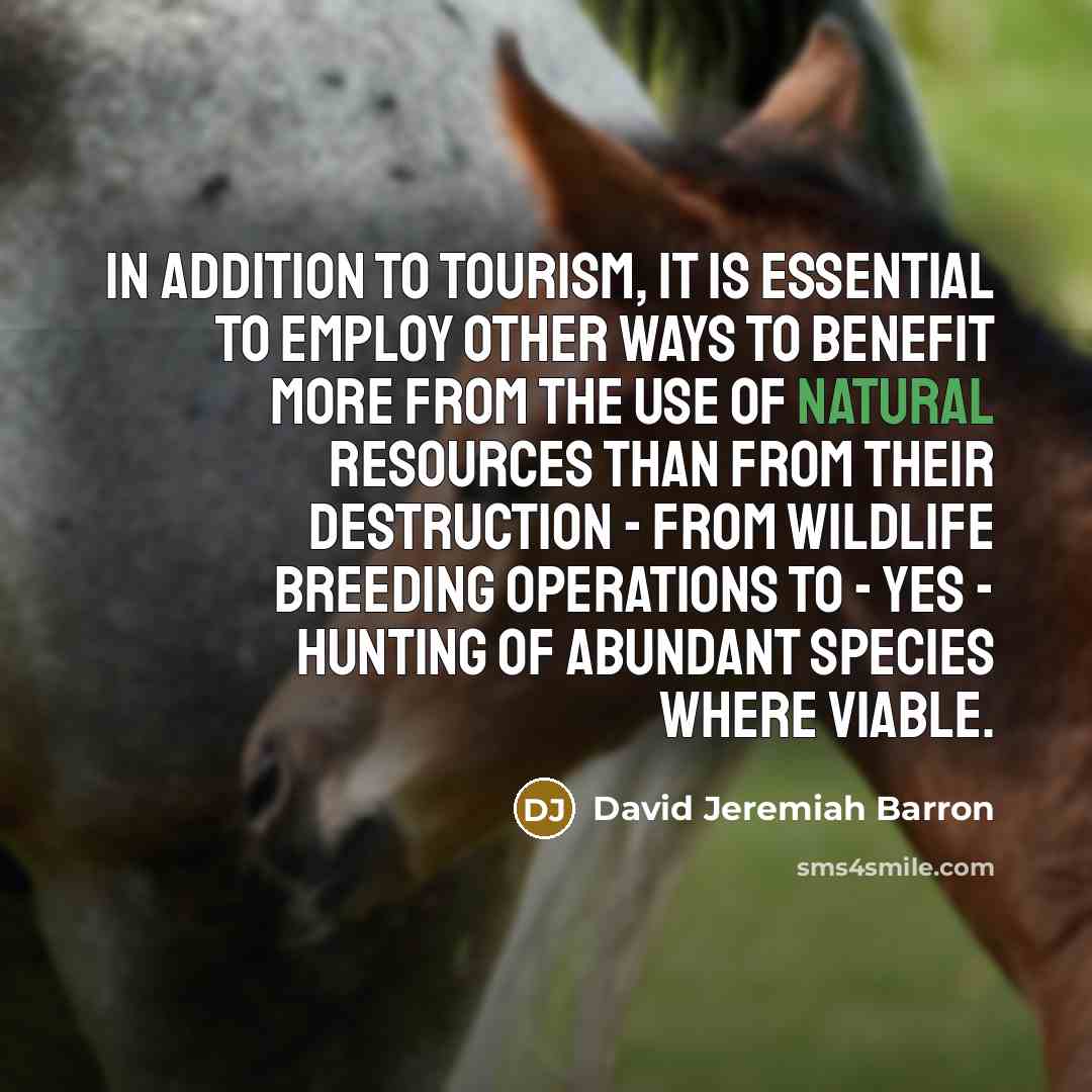 “In addition to tourism, it is essential to employ other…” quote by David Jeremiah Barron