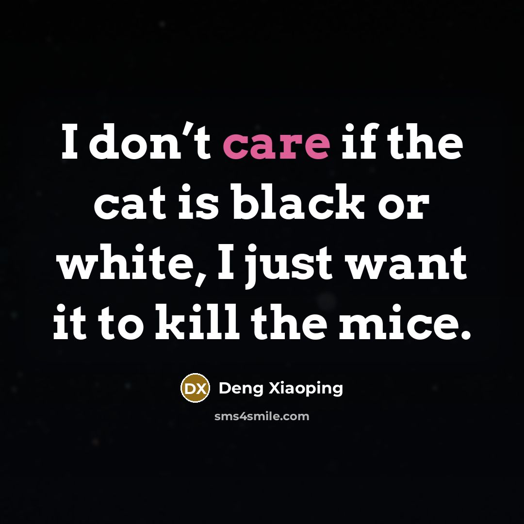 “I don’t care if the cat is black or white,…” quote by Deng Xiaoping