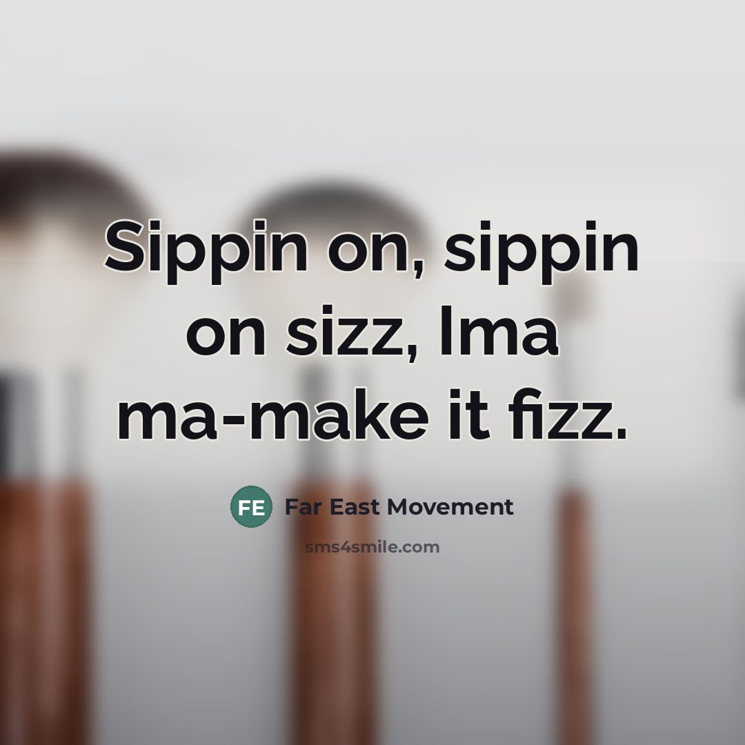 “Sippin on, sippin on sizz, Ima ma-make it fizz.…” quote by Far East Movement