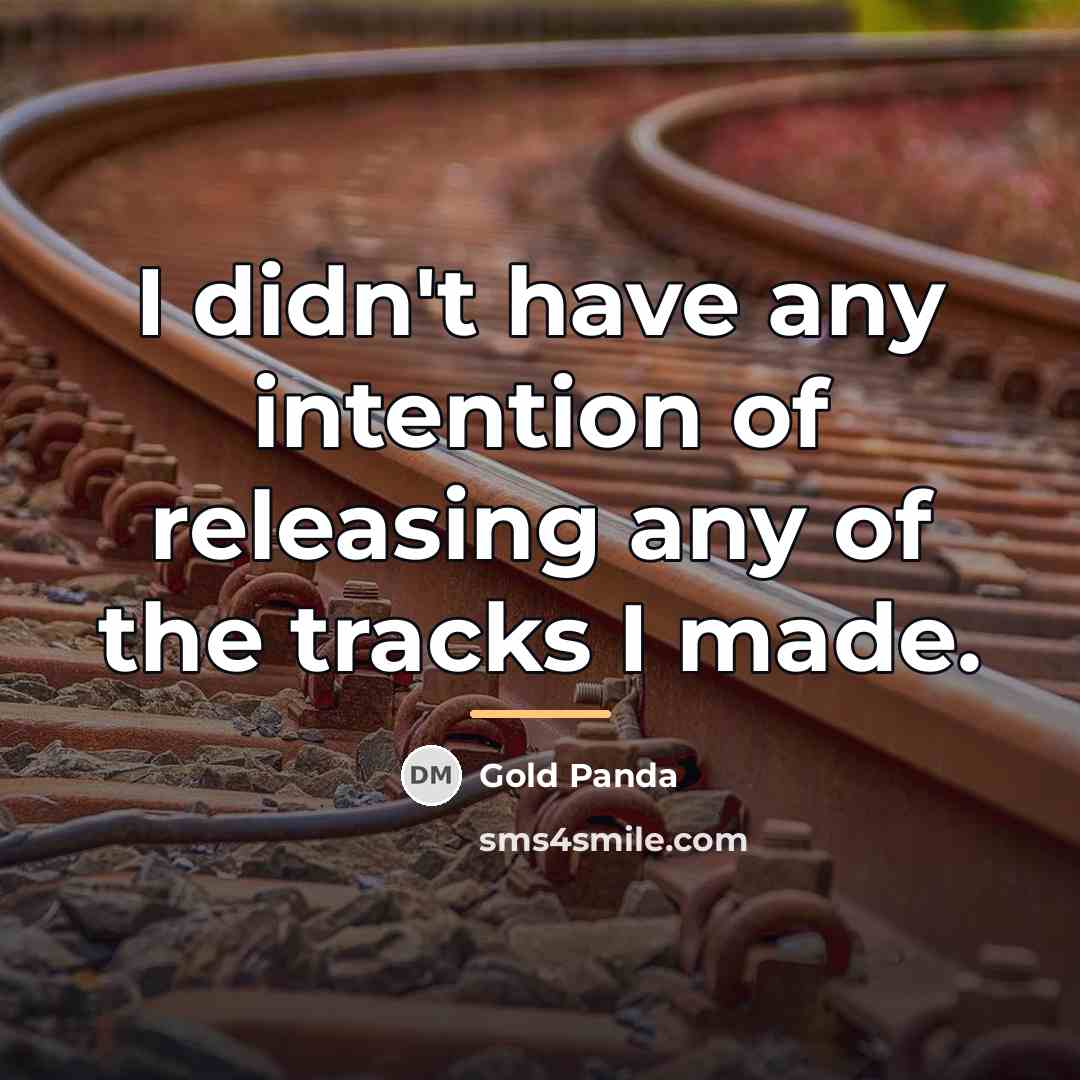 “I didn't have any intention of releasing any of the…” quote by Gold Panda
