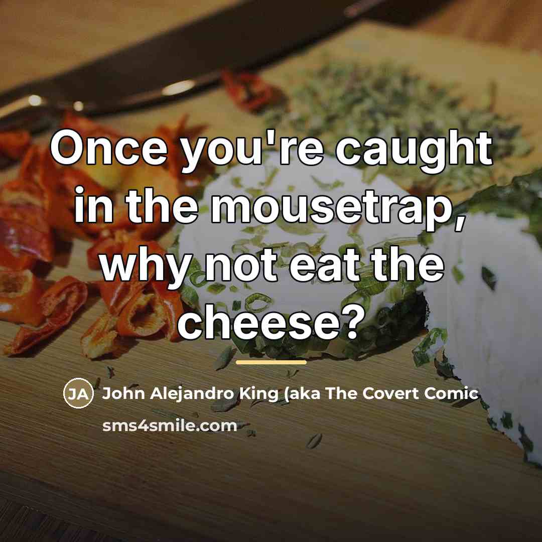 “Once you're caught in the mousetrap, why not eat the…” quote by Anonymous