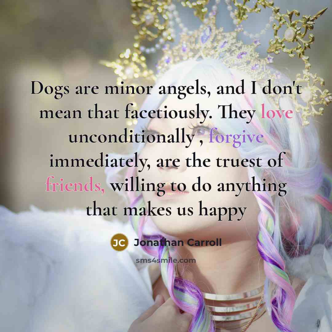 “Dogs are minor angels, and I don't mean that facetiously.…” quote by Jonathan Carroll