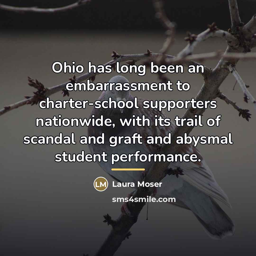 “Ohio has long been an embarrassment to charter-school supporters nationwide,…” quote by Laura Moser