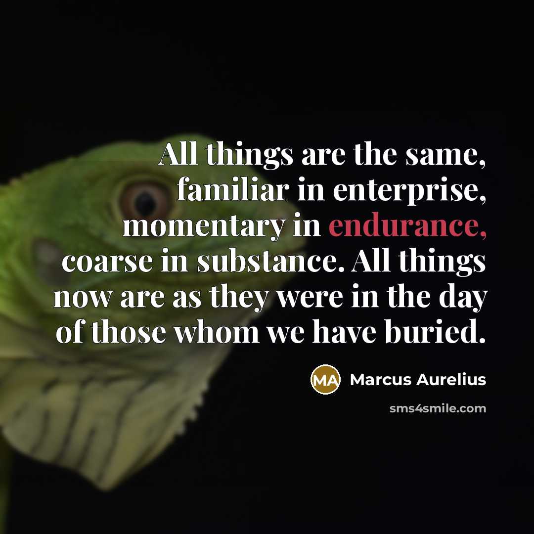 “All things are the same, familiar in enterprise, momentary in…” quote by Marcus Aurelius