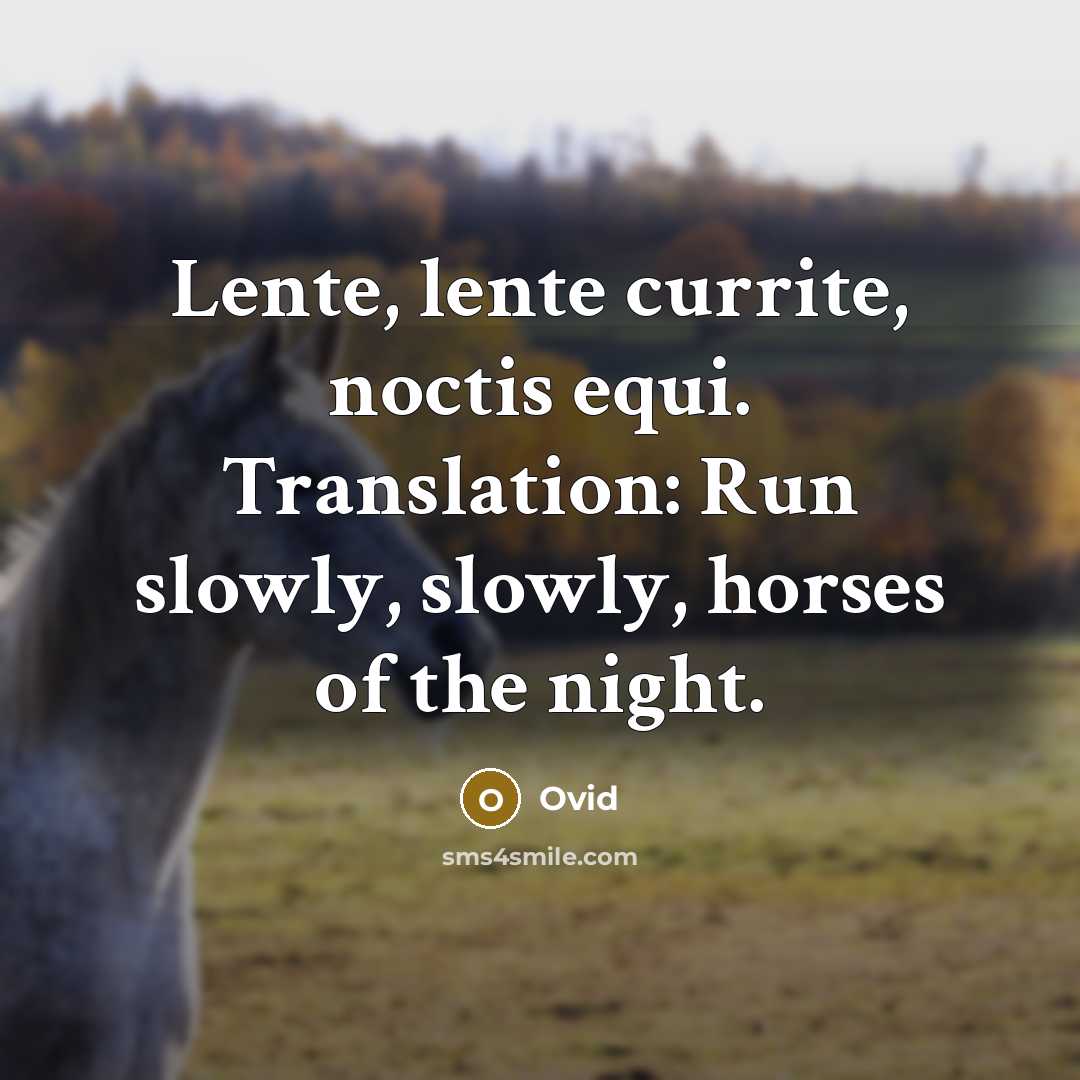 “Lente, lente currite, noctis equi. Translation: Run slowly, slowly, horses…” quote by Ovid