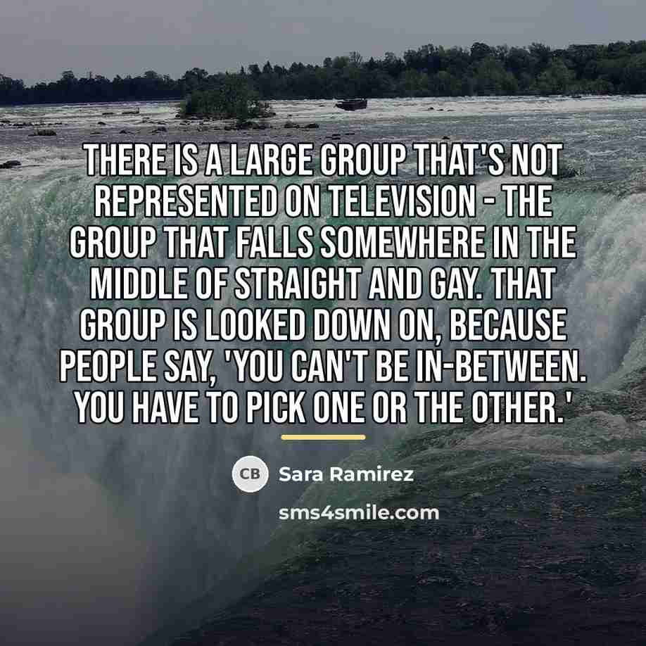 “There is a large group that's not represented on television…” quote by Sara Ramirez