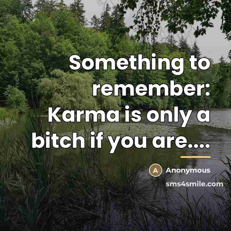 “Something to remember: Karma is only a bitch if you…” quote by Anonymous