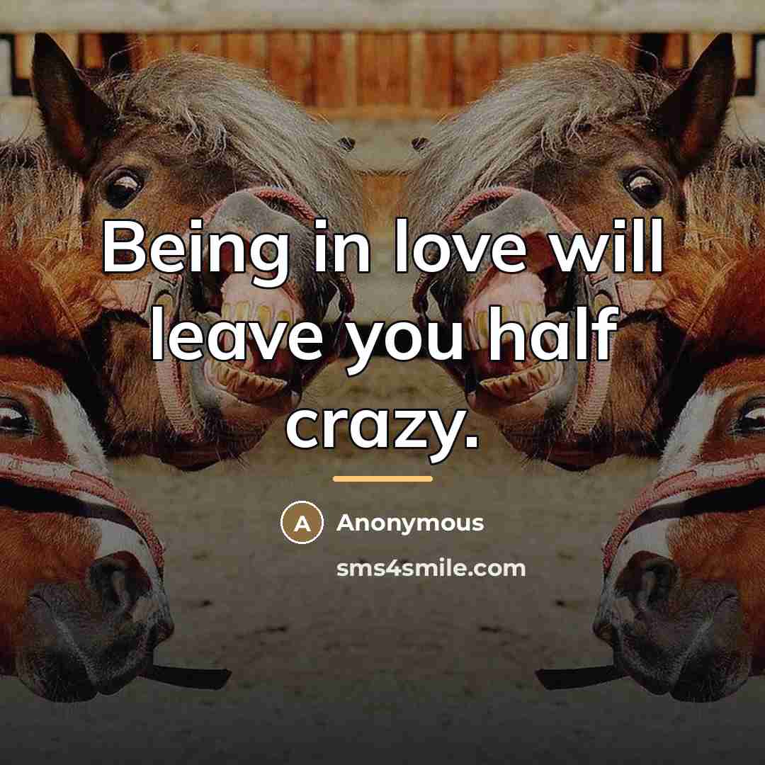 “Being in love will leave you half crazy.…” quote by Anonymous