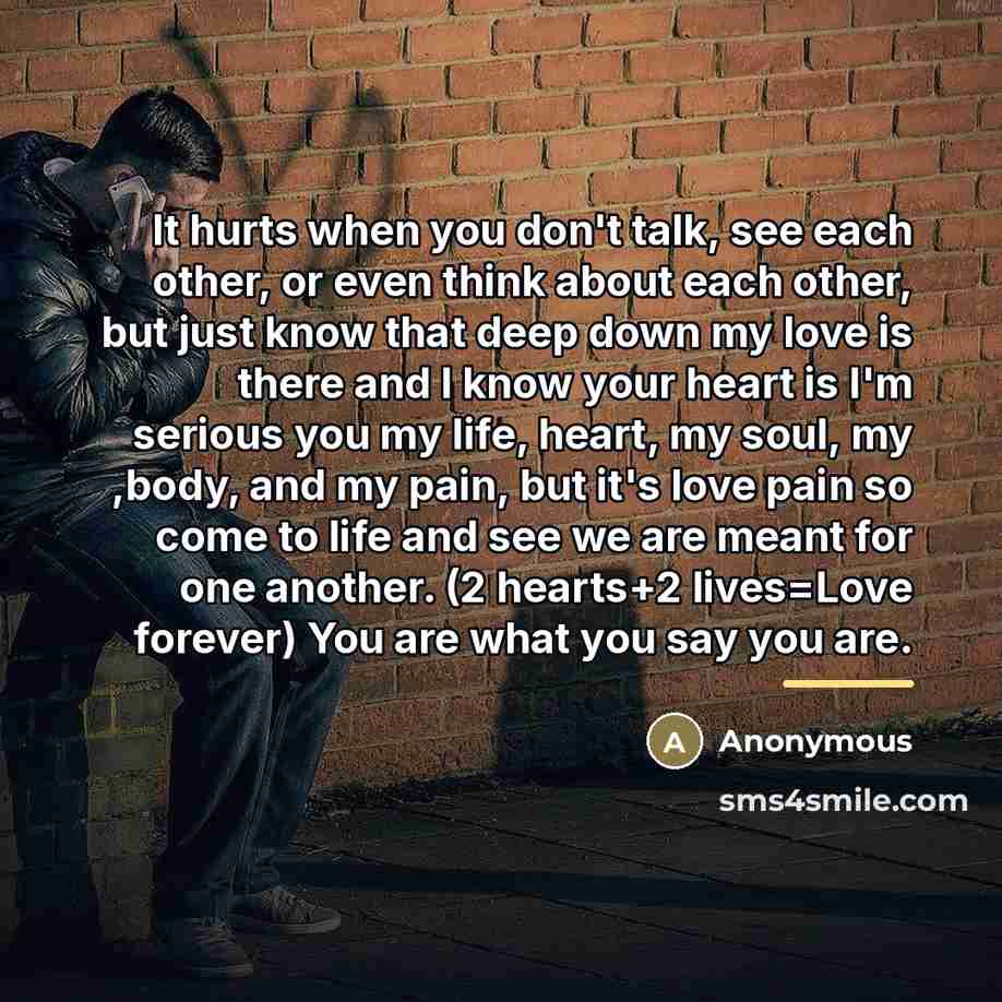 “It hurts when you don't talk, see each other, or…” quote by Anonymous