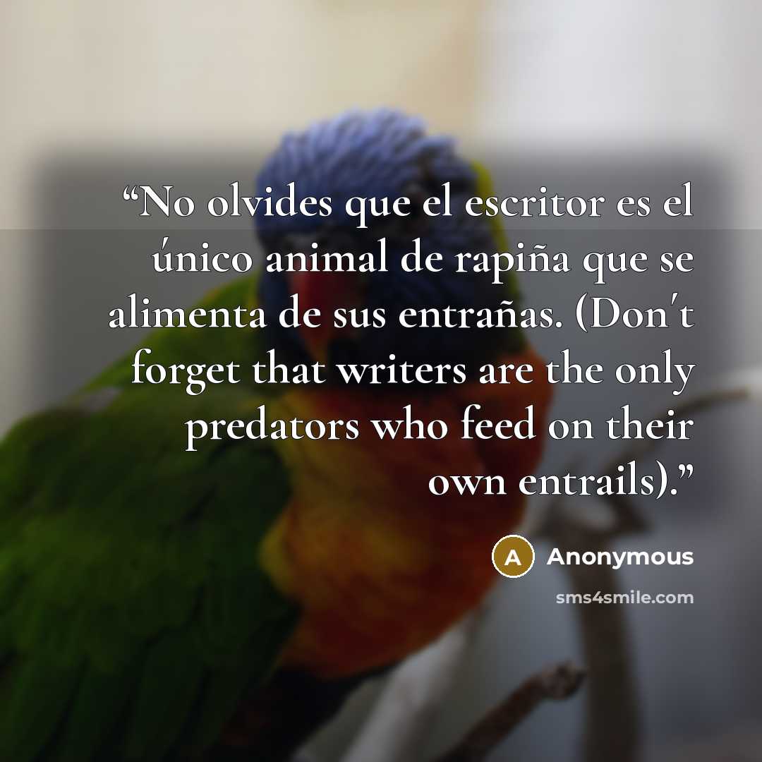 “No olvides que el escritor es el único animal de rapiña que se alimenta de sus entrañas. (Don´t forget that writers are the only predators who feed on their own entrails).” quote by Anonymous