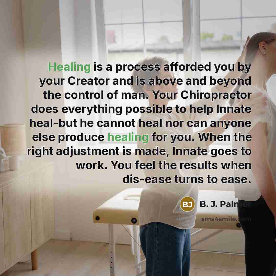 “Healing is a process afforded you by your Creator and…” quote by B. J. Palmer