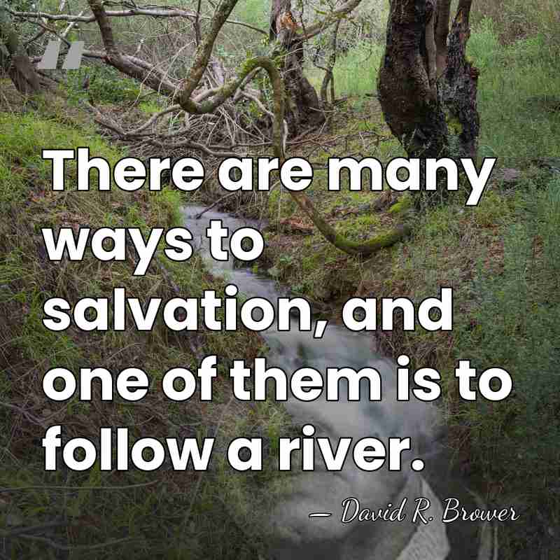 There are many ways to salvation, and one of them is to&hellip; - David R. Brower