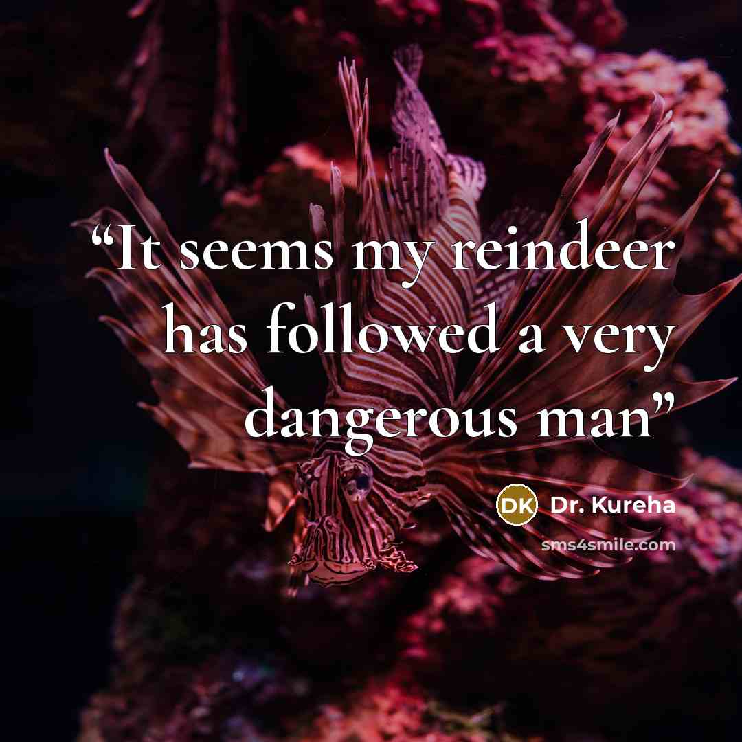 “It seems my reindeer has followed a very dangerous man” quote by Dr. Kureha
