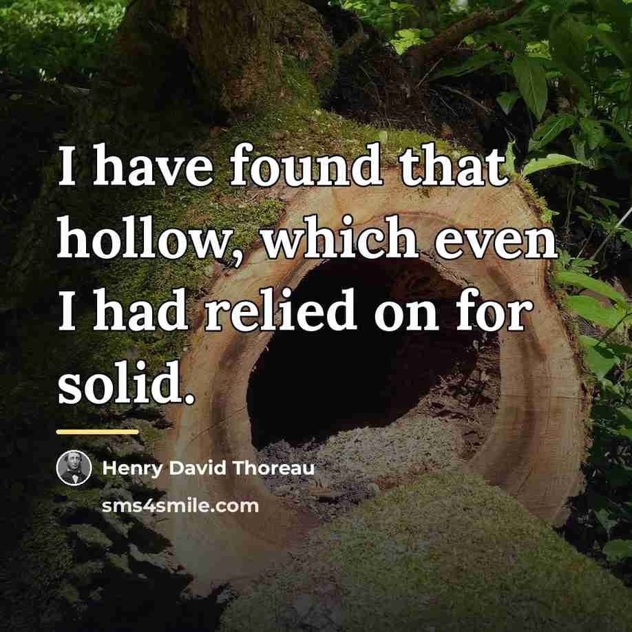 “I have found that hollow, which even I had relied…” quote by Henry David Thoreau