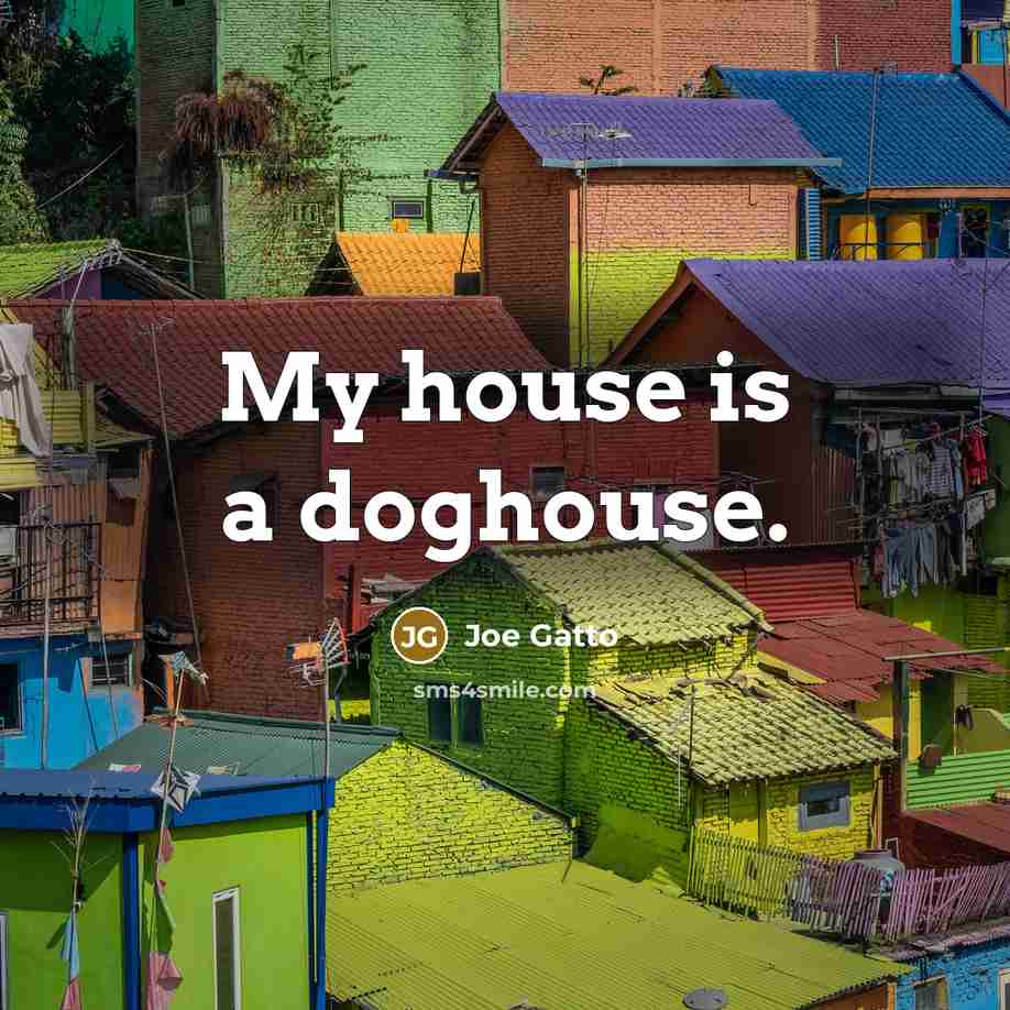 “My house is a doghouse.…” quote by Joe Gatto