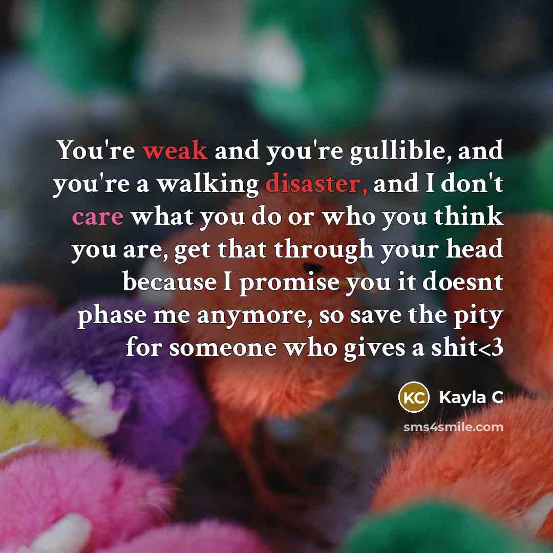 “You're weak and you're gullible, and you're a walking disaster, and I don't care what you do or who you think you are, get that through your head because I promise you it doesnt phase me anymore, so save the pity for someone who gives a shit” quote by Kayla C