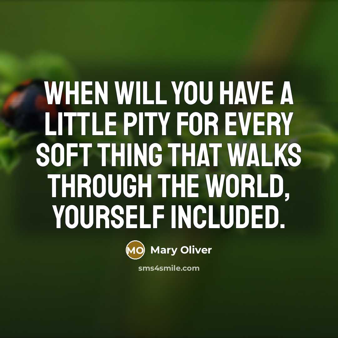 “When will you have a little pity for every soft…” quote by Mary Oliver