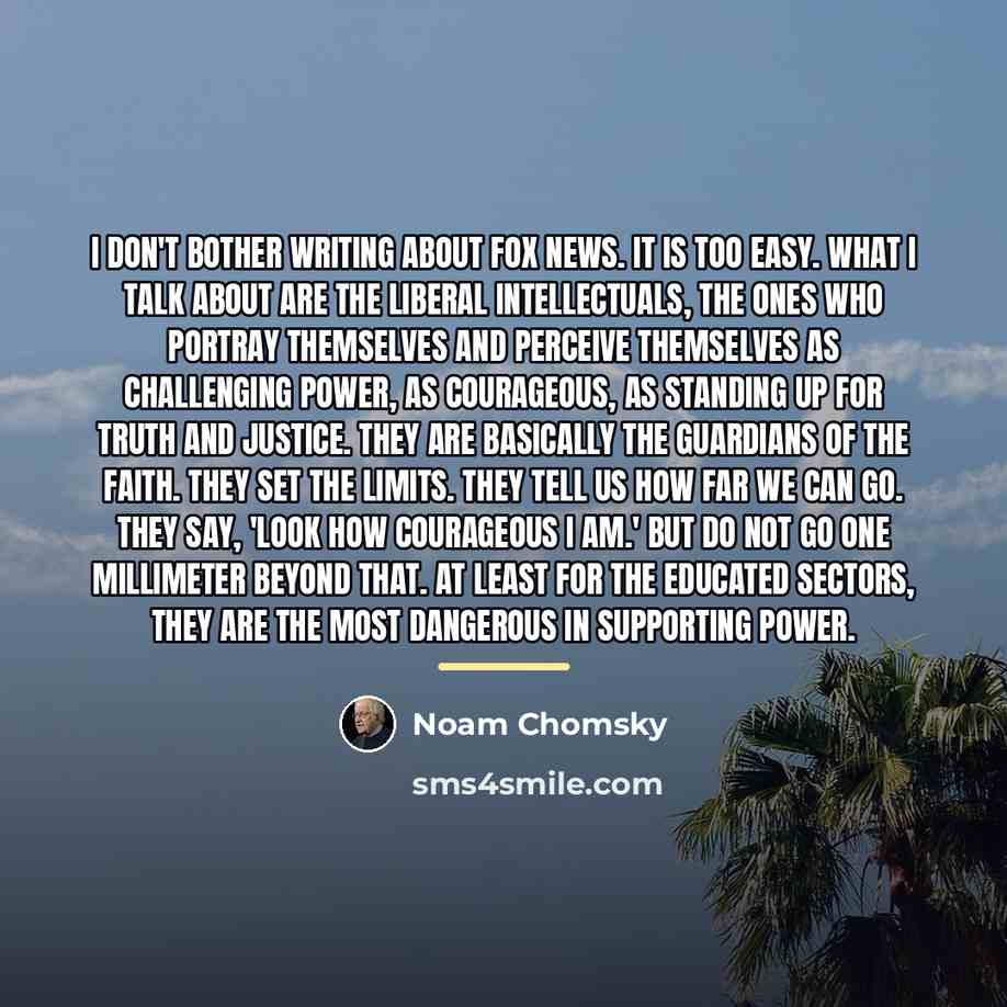 “I don't bother writing about Fox News. It is too…” quote by Noam Chomsky