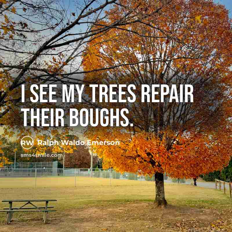 “I see my trees repair their boughs.…” quote by Ralph Waldo Emerson