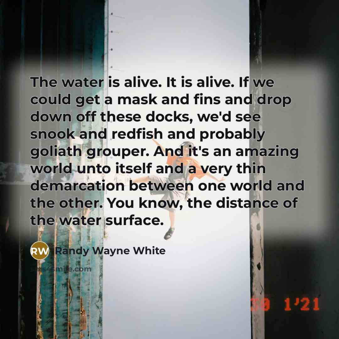 “The water is alive. It is alive. If we could…” quote by Randy Wayne White