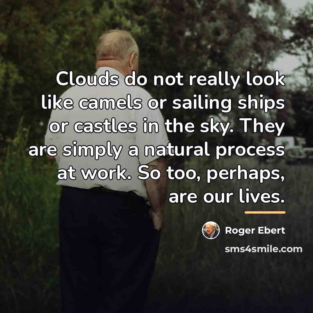 “Clouds do not really look like camels or sailing ships…” quote by Roger Ebert
