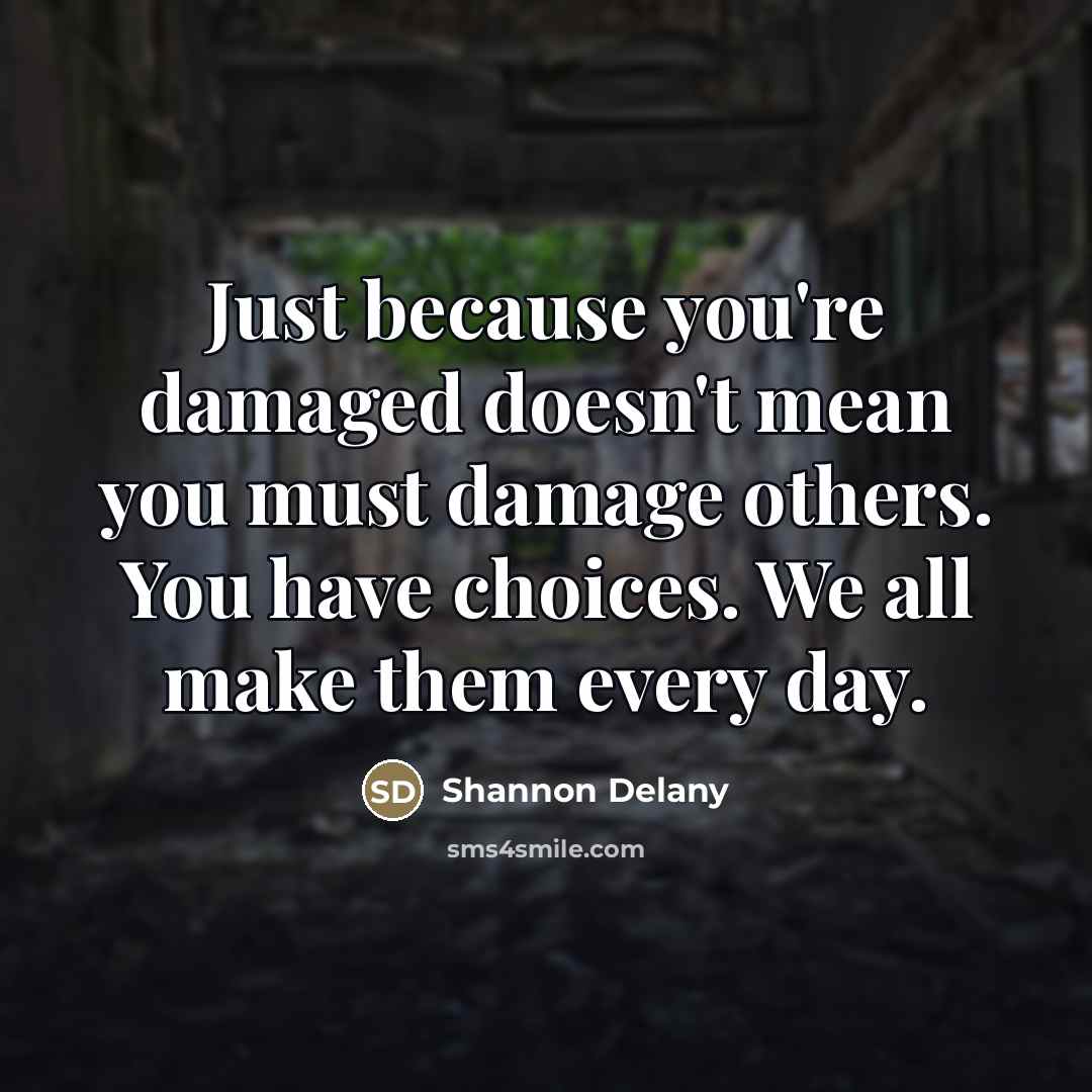 “Just because you're damaged doesn't mean you must damage others.…” quote by Shannon Delany