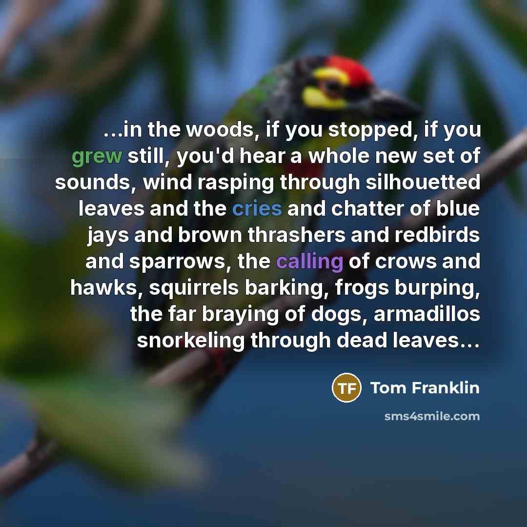 “...in the woods, if you stopped, if you grew still,…” quote by Tom Franklin