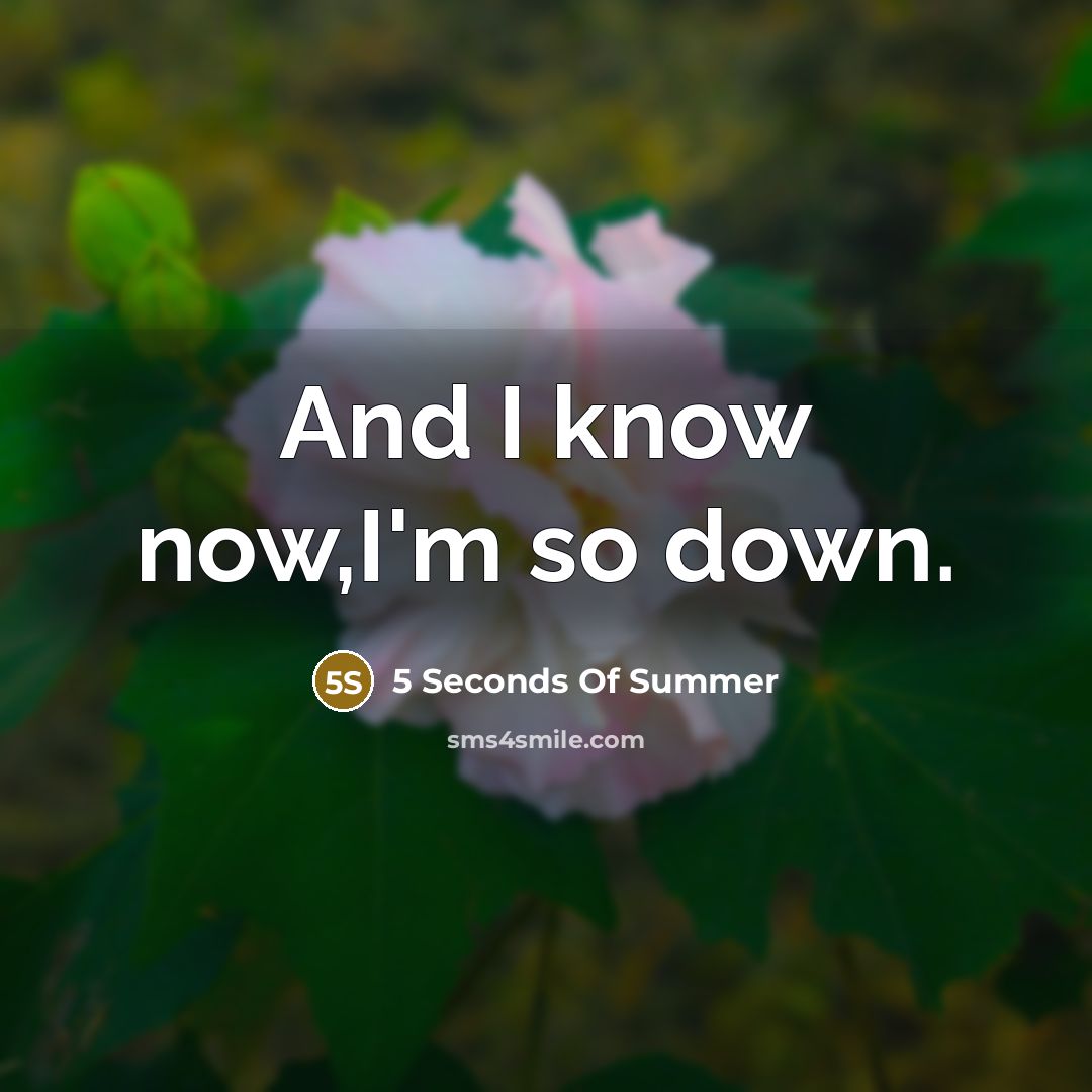 “And I know now,I'm so down.…” quote by 5 Seconds Of Summer