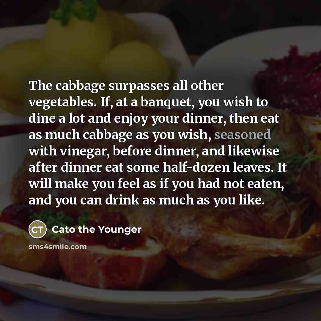 “The cabbage surpasses all other vegetables. If, at a banquet,…” quote by Cato the Younger