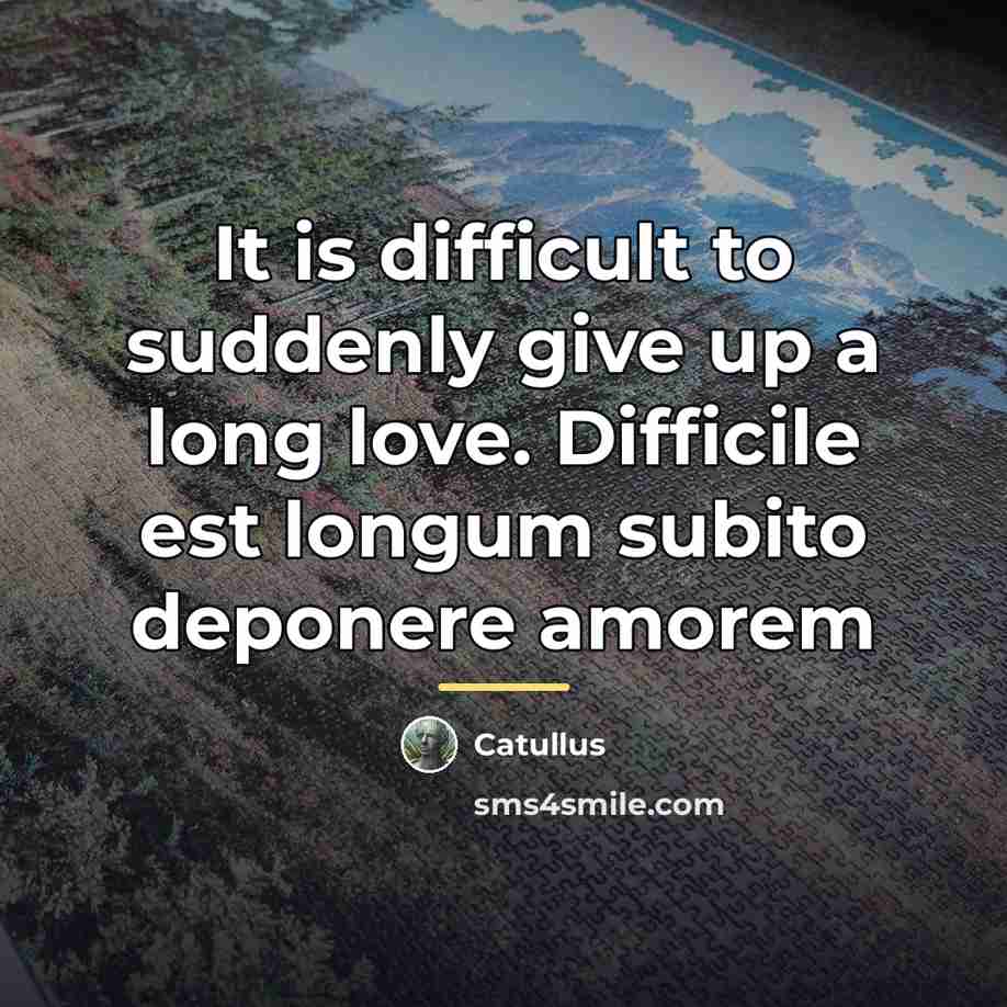 “It is difficult to suddenly give up a long love.…” quote by Catullus