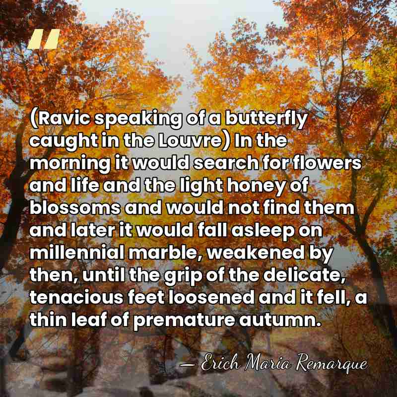 (Ravic speaking of a butterfly caught in the Louvre) In the morning&hellip; - Erich Maria Remarque