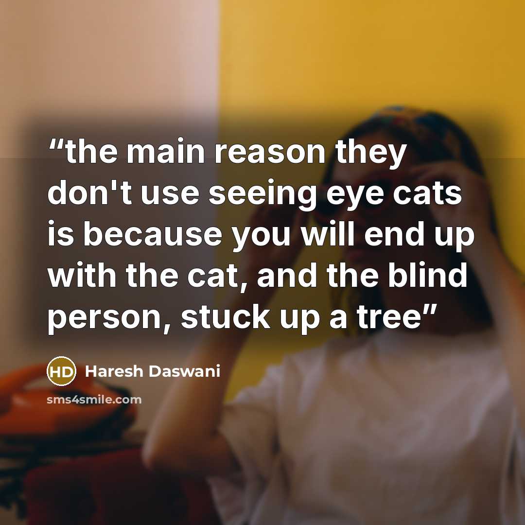 “the main reason they don't use seeing eye cats is because you will end up with the cat, and the blind person, stuck up a tree” quote by Haresh Daswani