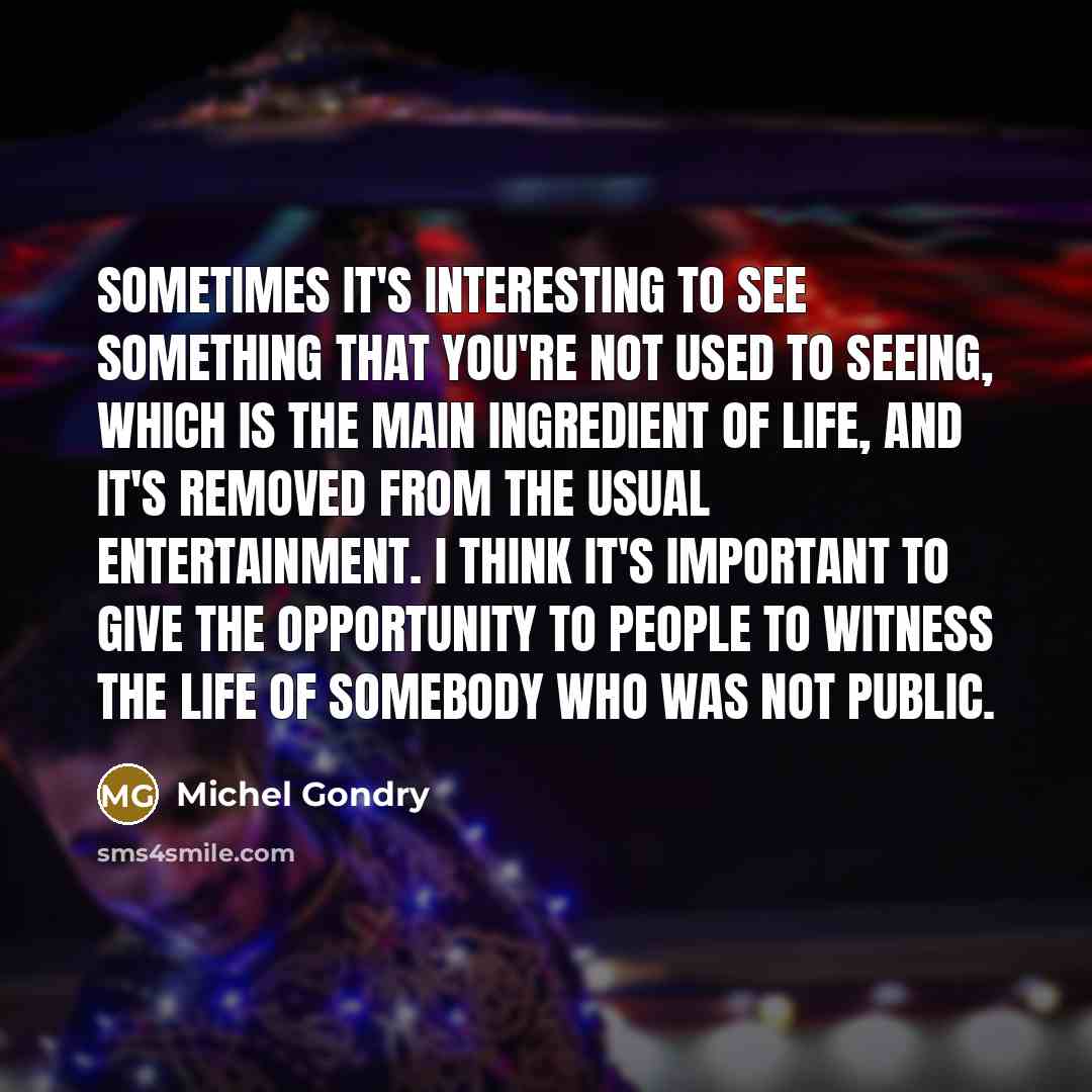 “Sometimes it's interesting to see something that you're not used…” quote by Michel Gondry