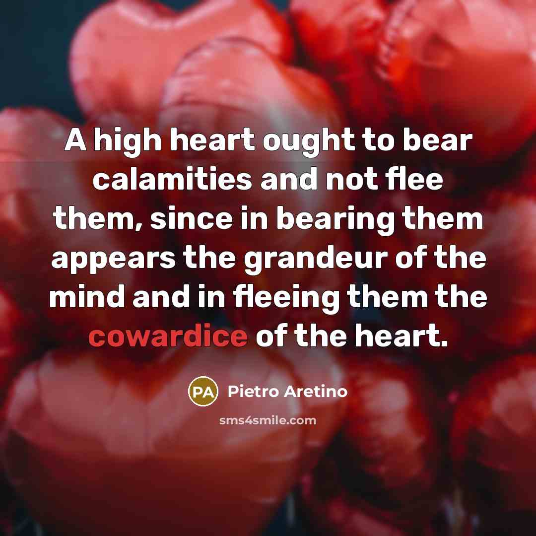 “A high heart ought to bear calamities and not flee…” quote by Pietro Aretino