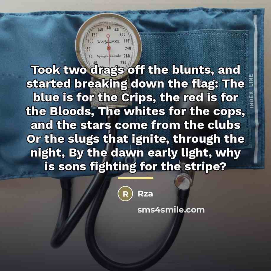“Took two drags off the blunts, and started breaking down…” quote by RZA
