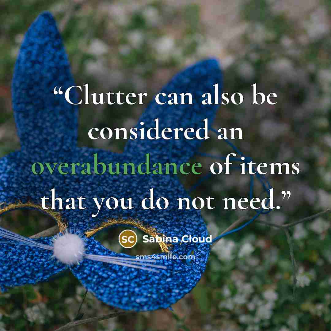 “Clutter can also be considered an overabundance of items that you do not need.” quote by Sabina Cloud
