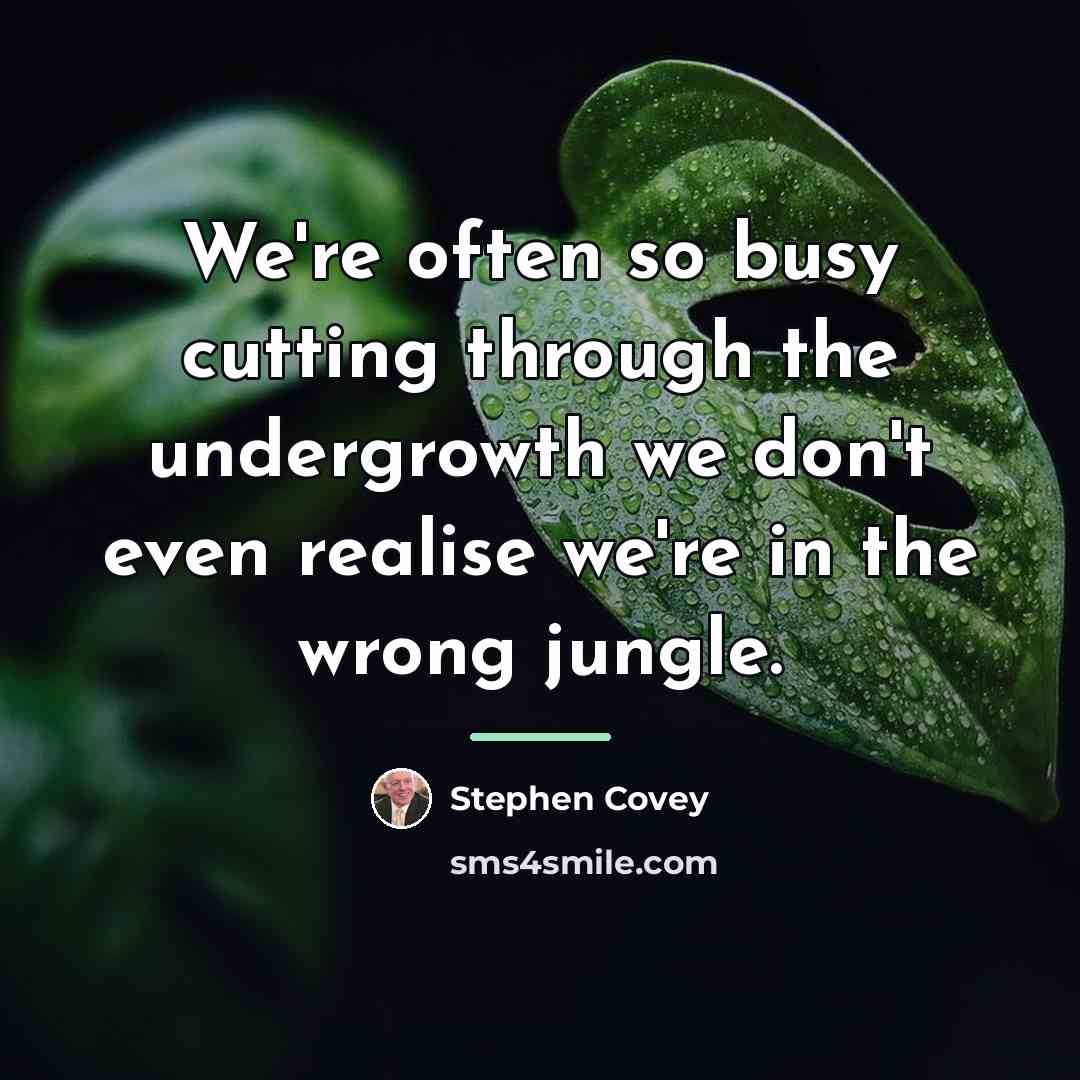 “We're often so busy cutting through the undergrowth we don't…” quote by Stephen Covey