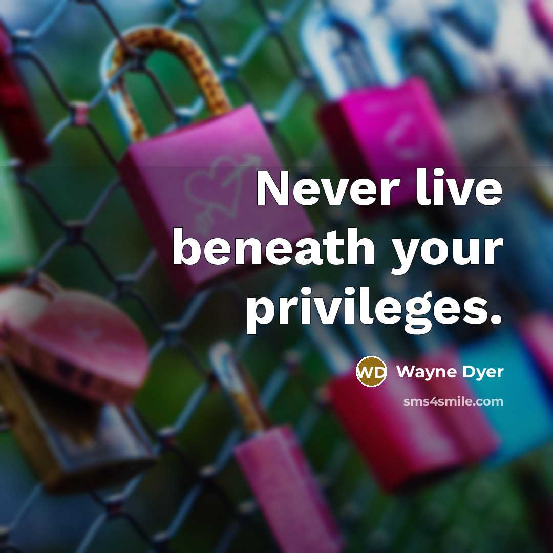 “Never live beneath your privileges.…” quote by Wayne Dyer