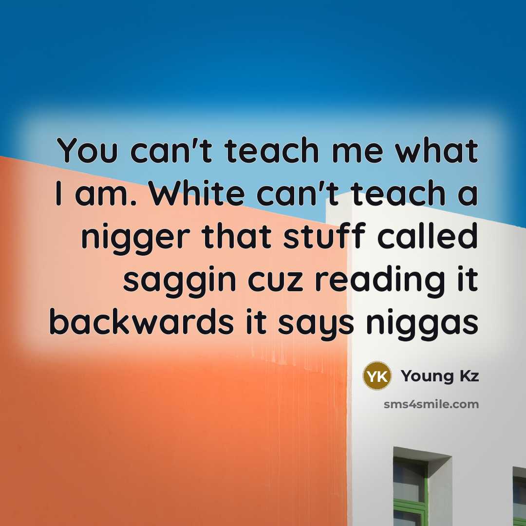 “You can't teach me what I am. White can't teach a nigger that stuff called saggin cuz reading it backwards it says niggas” quote by Young Kz