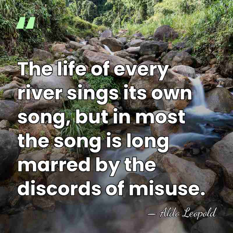 The life of every river sings its own song, but in most&hellip; - Aldo Leopold