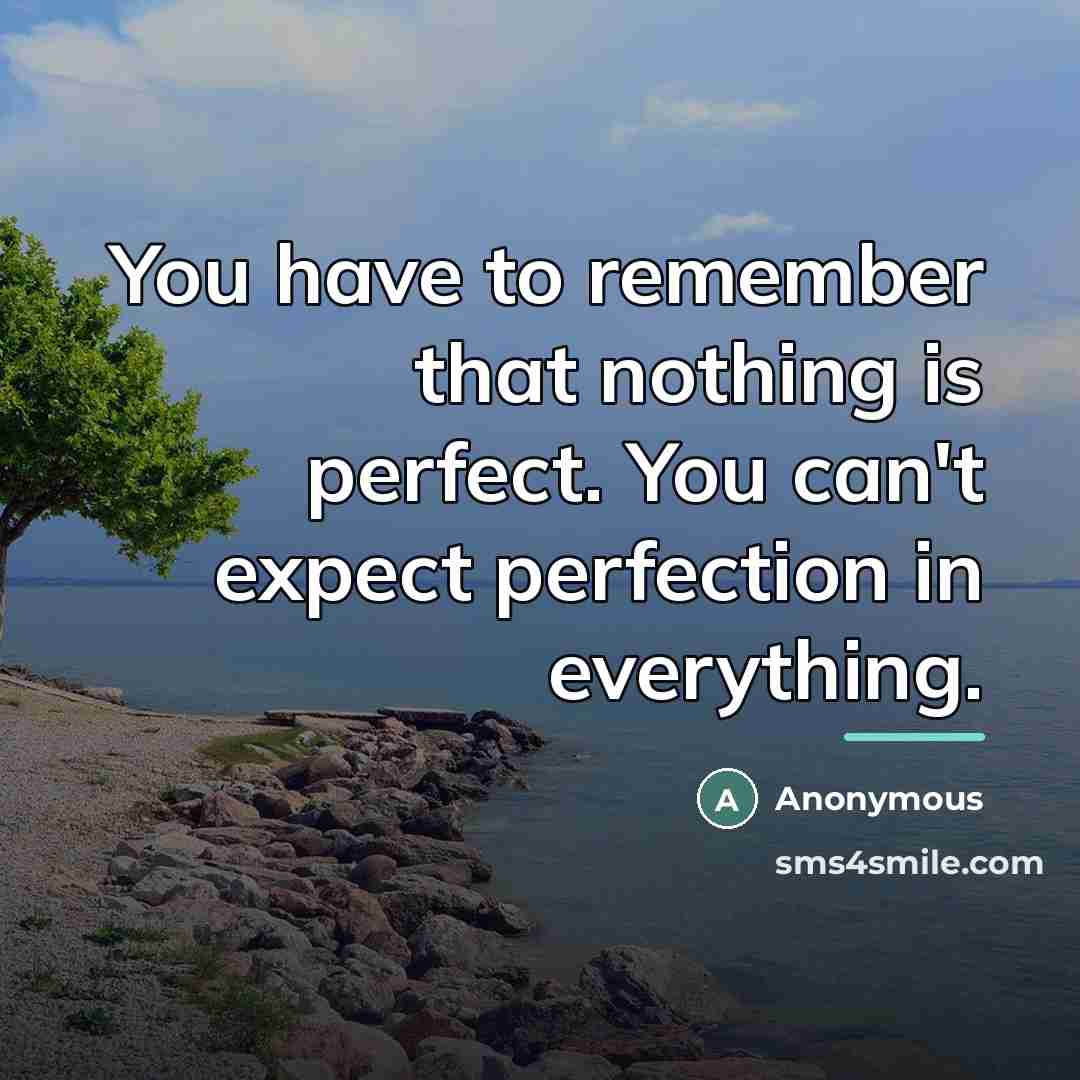 “You have to remember that nothing is perfect. You can't…” quote by Anonymous