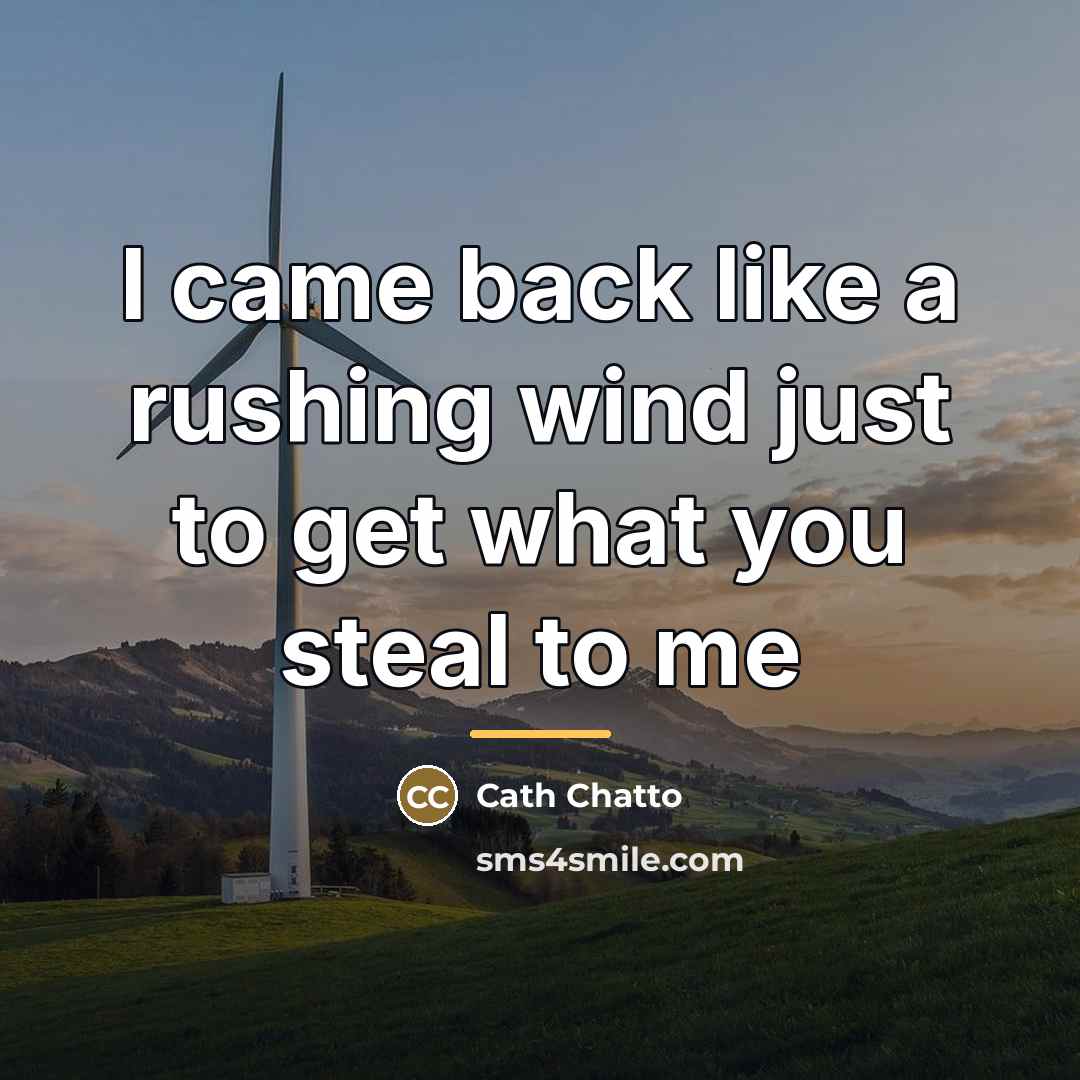 “I came back like a rushing wind just to get…” quote by Cath Chatto