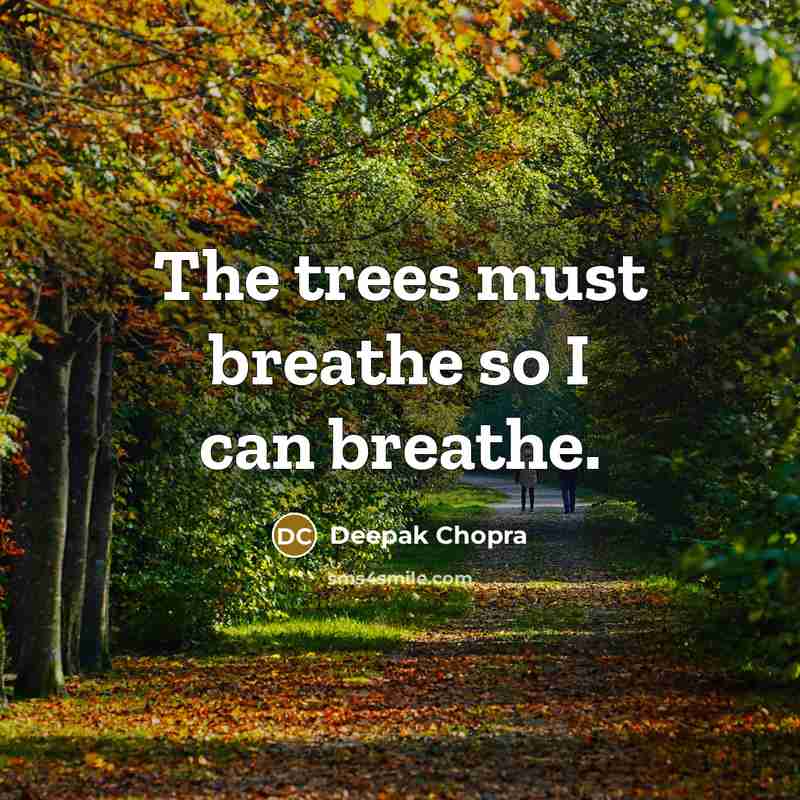 “The trees must breathe so I can breathe.…” quote by Deepak Chopra