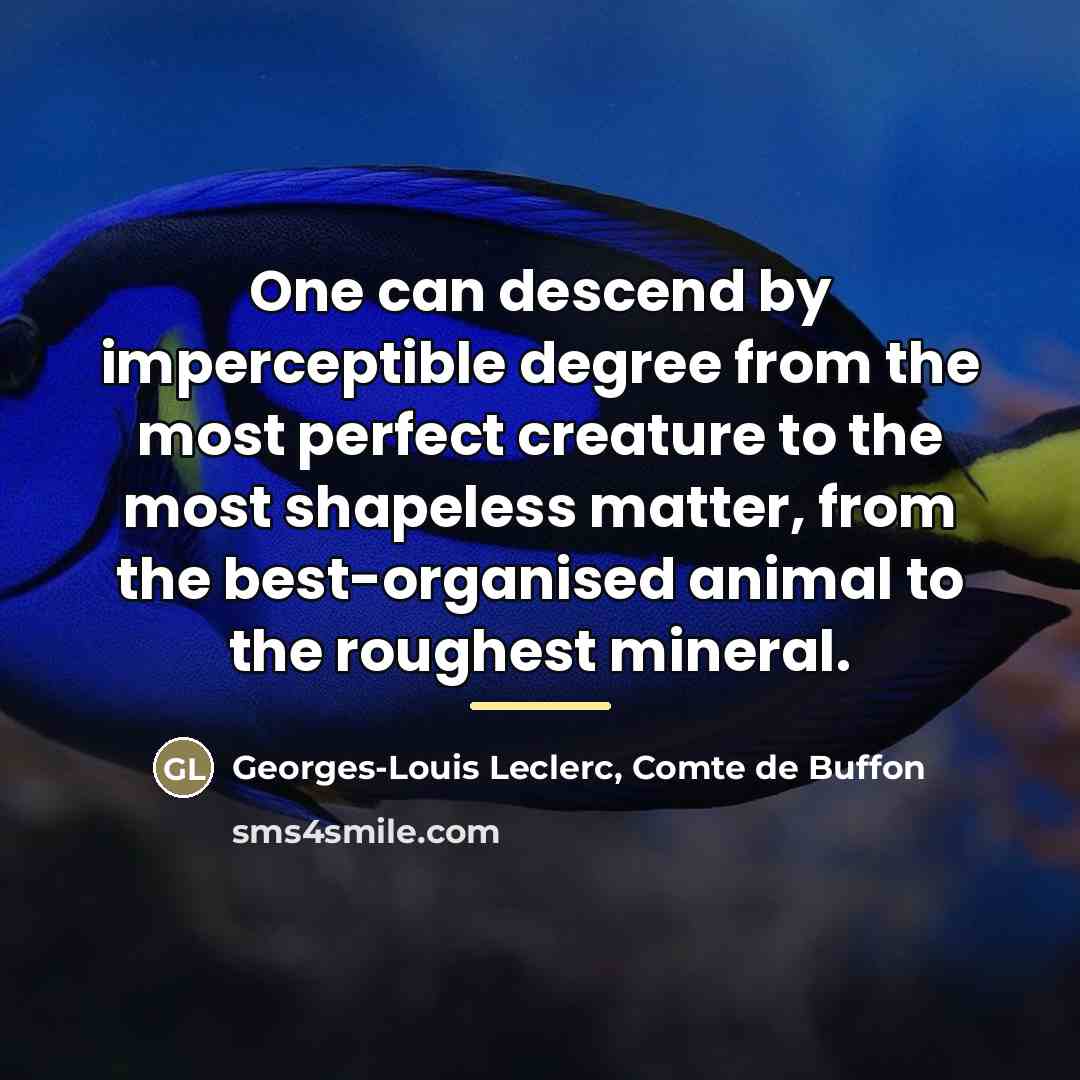 “One can descend by imperceptible degree from the most perfect…” quote by Georges-Louis Leclerc, Comte de Buffon