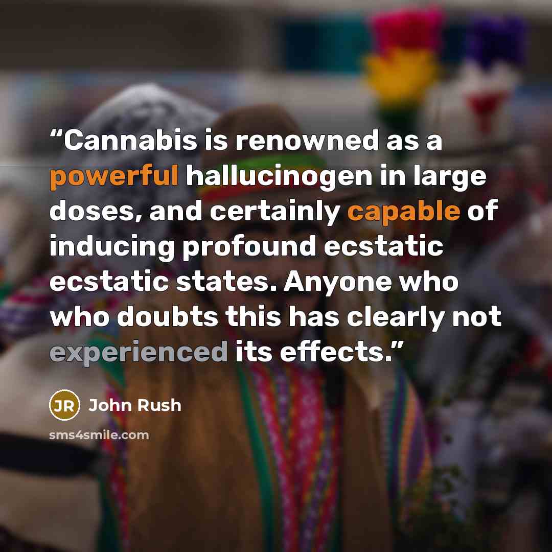 “Cannabis is renowned as a powerful hallucinogen in large doses, and certainly capable of inducing profound ecstatic ecstatic states. Anyone who who doubts this has clearly not experienced its effects.” quote by John Rush