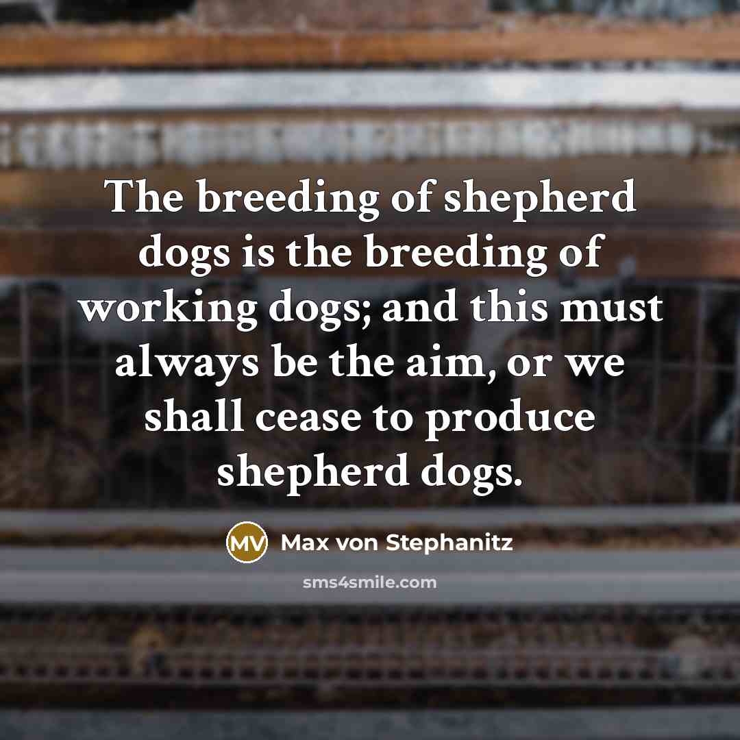 “The breeding of shepherd dogs is the breeding of working…” quote by Max von Stephanitz