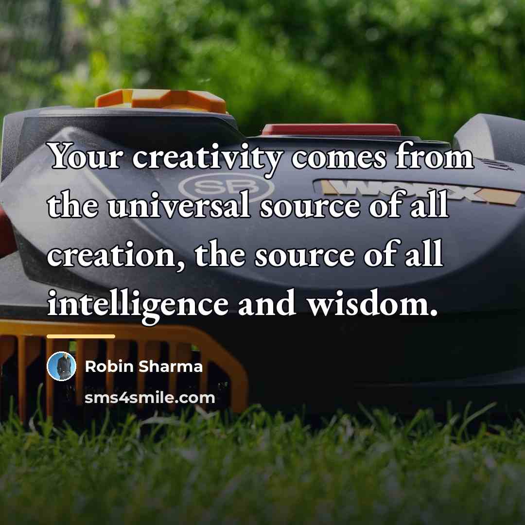 “Your creativity comes from the universal source of all creation,…” quote by Robin Sharma