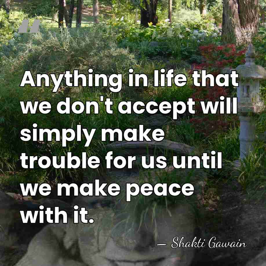Anything in life that we don't accept will simply make trouble for&hellip; - Shakti Gawain