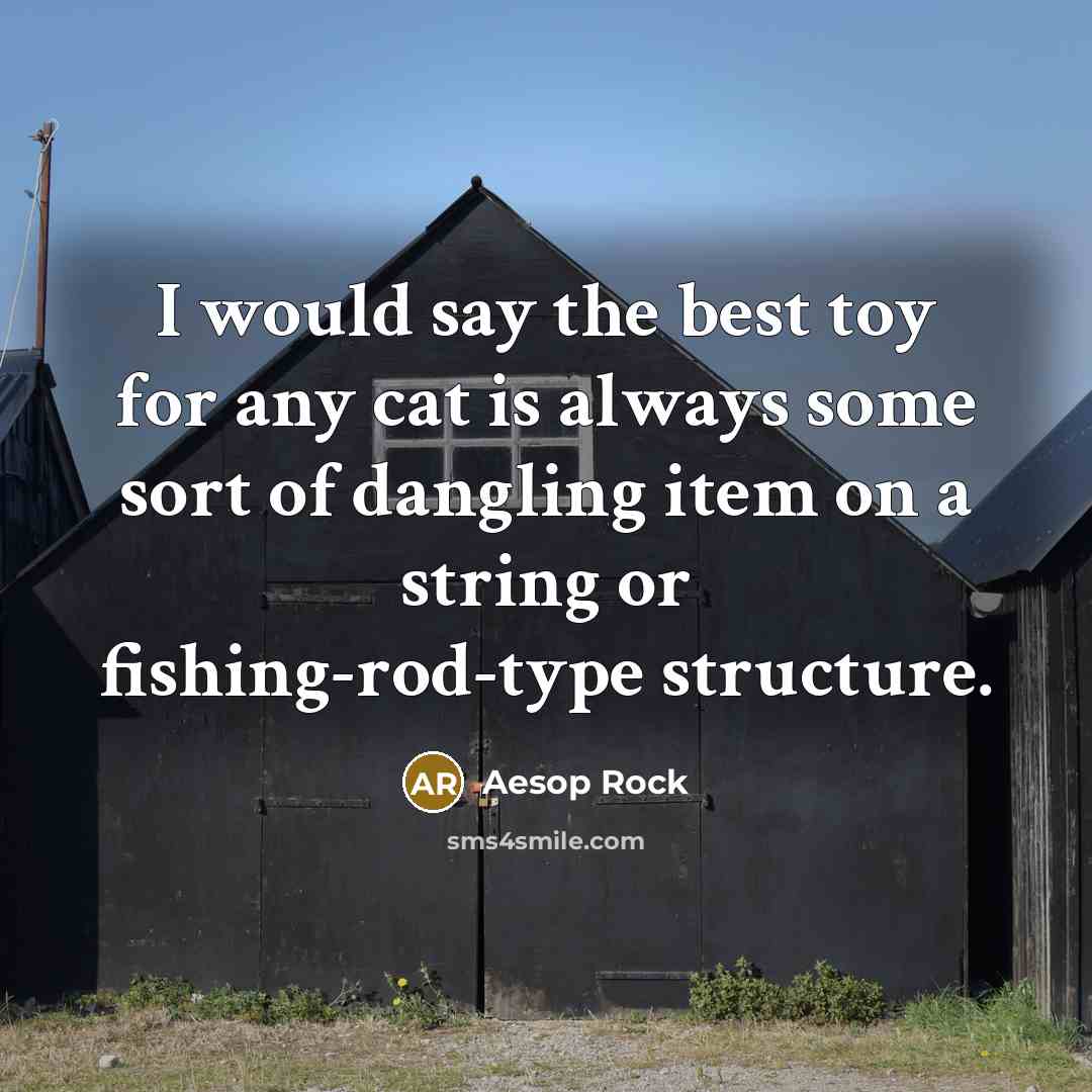 “I would say the best toy for any cat is…” quote by Aesop Rock